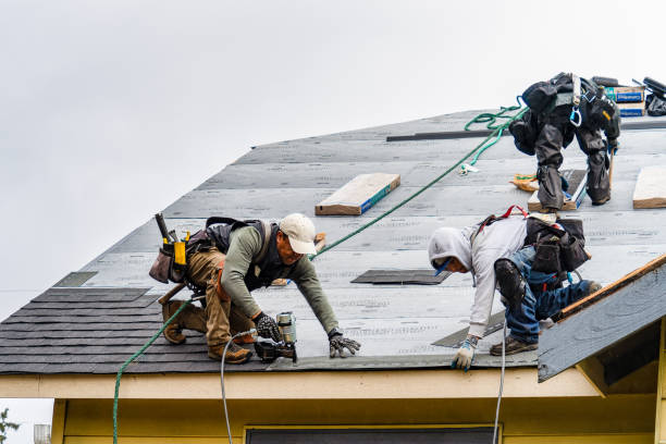 Professional Storm Damage Roof Repair technician working in Marathon, NY